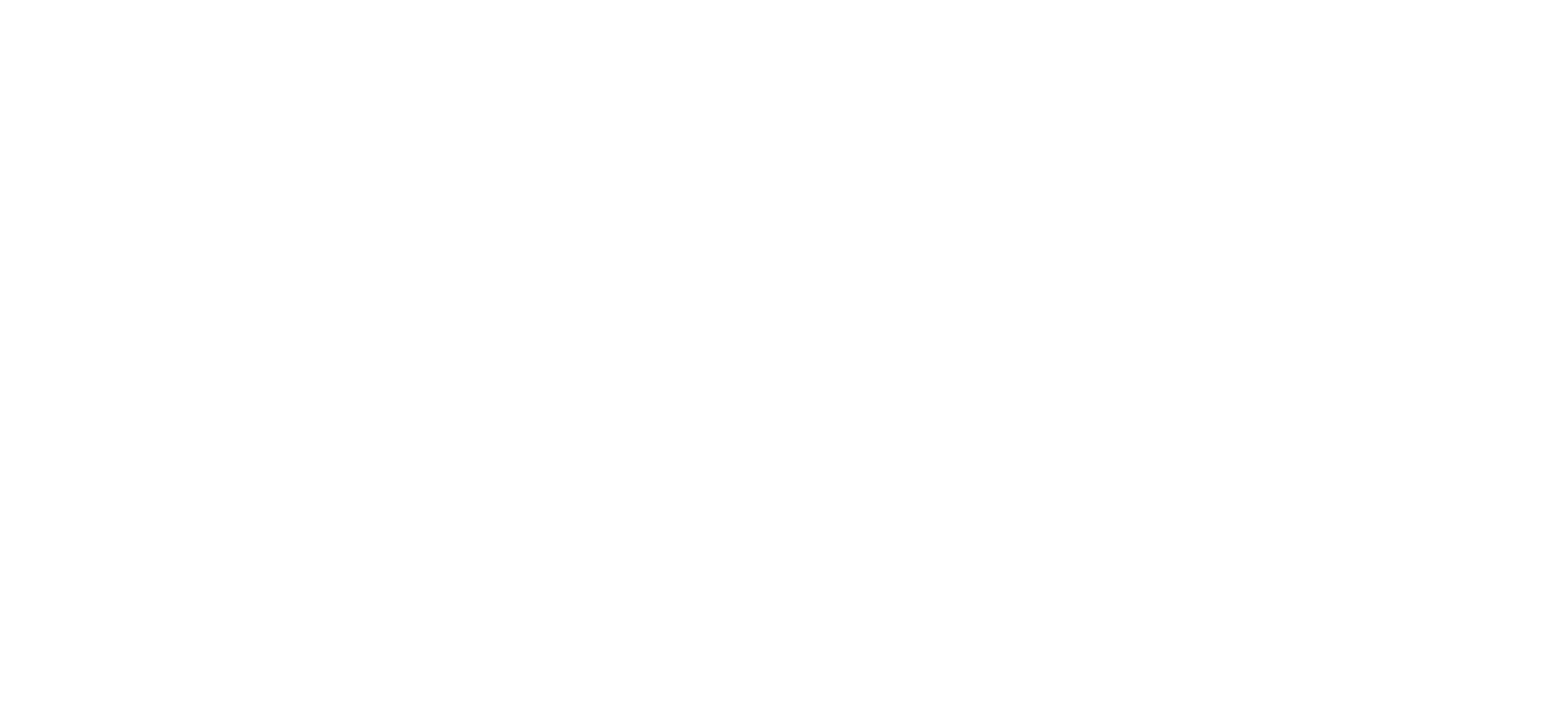 Anisa bienestar